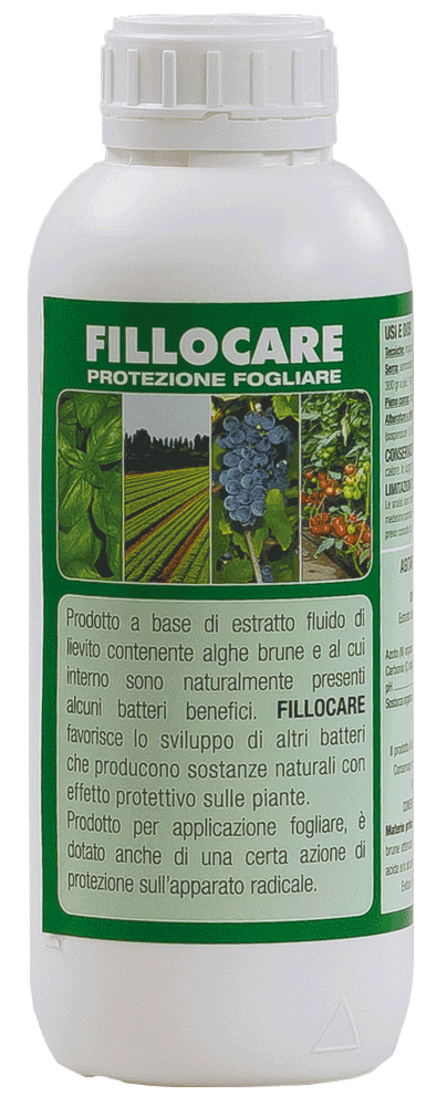 Ageennovative Fillocare