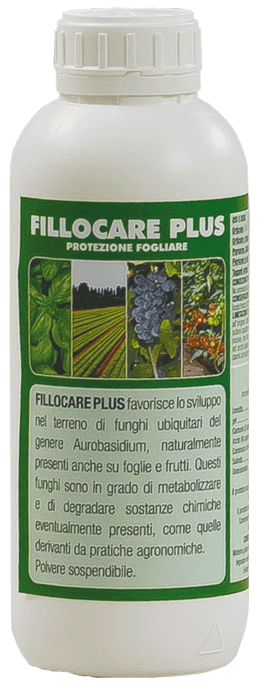 Ageennovative Fillocare Plus