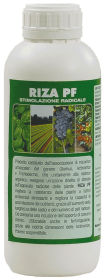 Riza PF