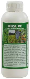 Riza PF