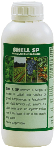 Shell SP
