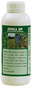 Shell SP